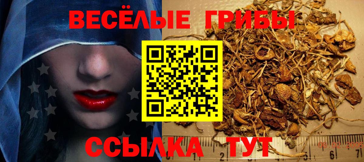 Псилоцибиновые грибы Cubensis  Вход с VPN  Павлово 